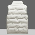thumbnail image 5 of Dpytoraw Autumn And Winter New Down Men Stand Collar Vest Plus Fat And Thick Casual Warm Vest, 5 of 5