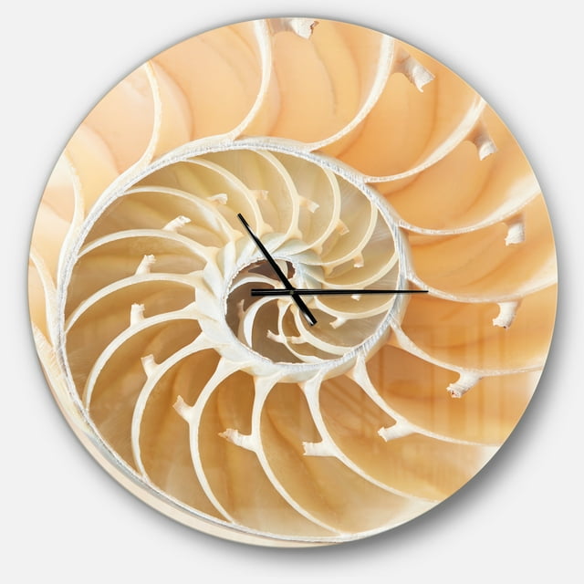 Designart 'Brown Nautilus Shell Pattern ' Modern wall clock