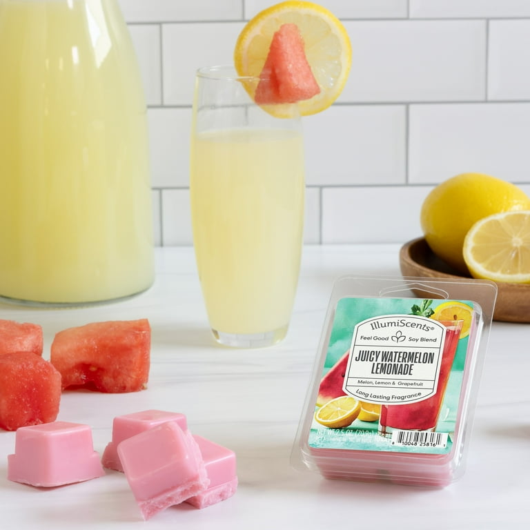 Juicy Watermelon Lemonade 2.5 oz Soy Blend Wax Fragrance Melt