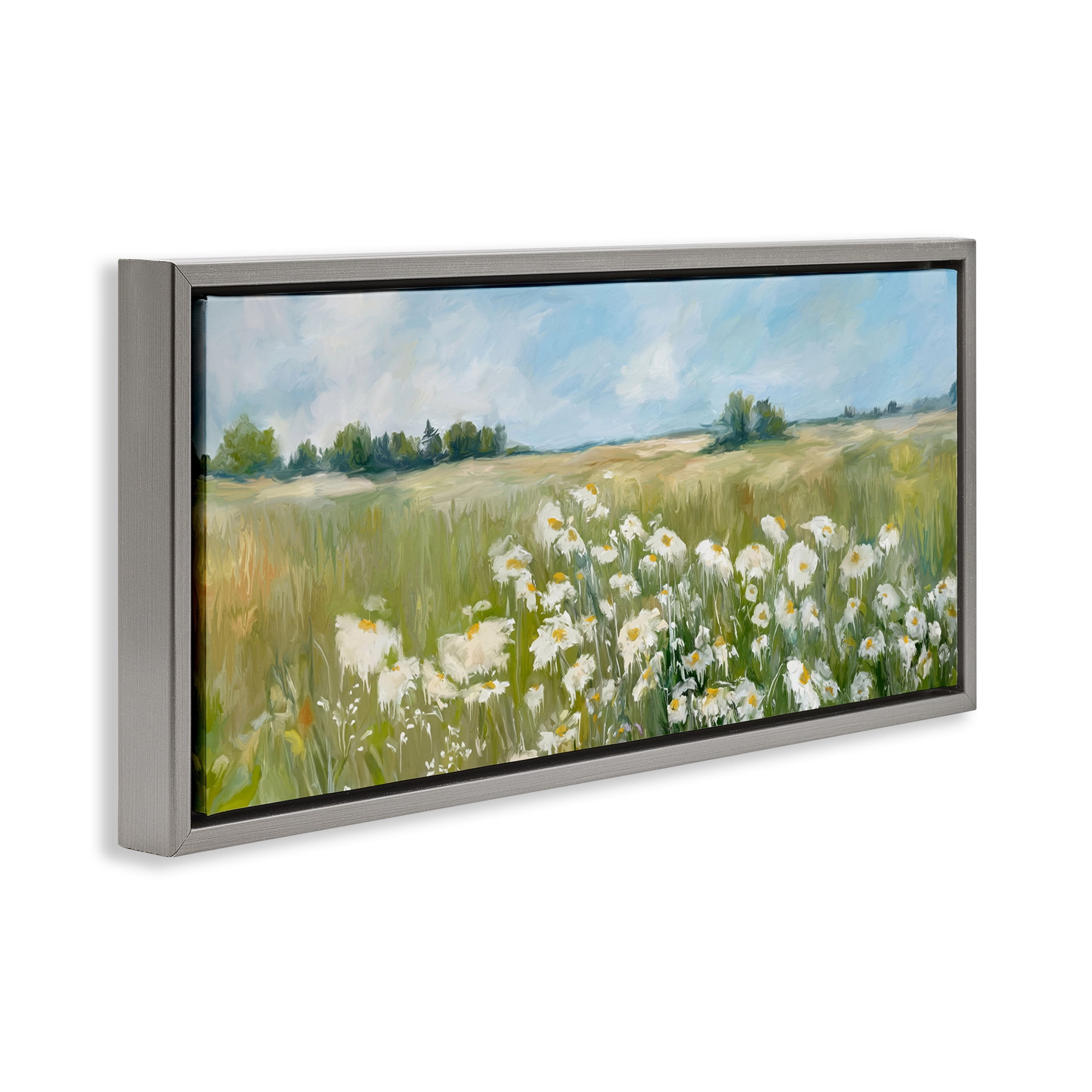 Stupell Industries Panoramic Sunlit Cliff Landscape Photography Gray Floater Framed Art Print Wall Art, 31 x 14