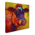 thumbnail image 2 of Trademark Fine Art 'Cow' Canvas Art by Marion Rose, 2 of 3
