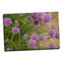 Gango Home Decor Contemporary Purple Flower Ball I by Karyn Millet (Ready to Hang); One 24x16in Hand-Stretched Canvas