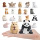 thumbnail image 2 of Juego de figuras de animales realistas de PVC, 17 piezas, juguete infantil en miniatura, 2 of 3