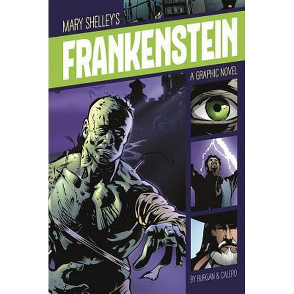 Pre-Owned Frankenstein: A Graphic Novel (Paperback) 1496500288 9781496500281