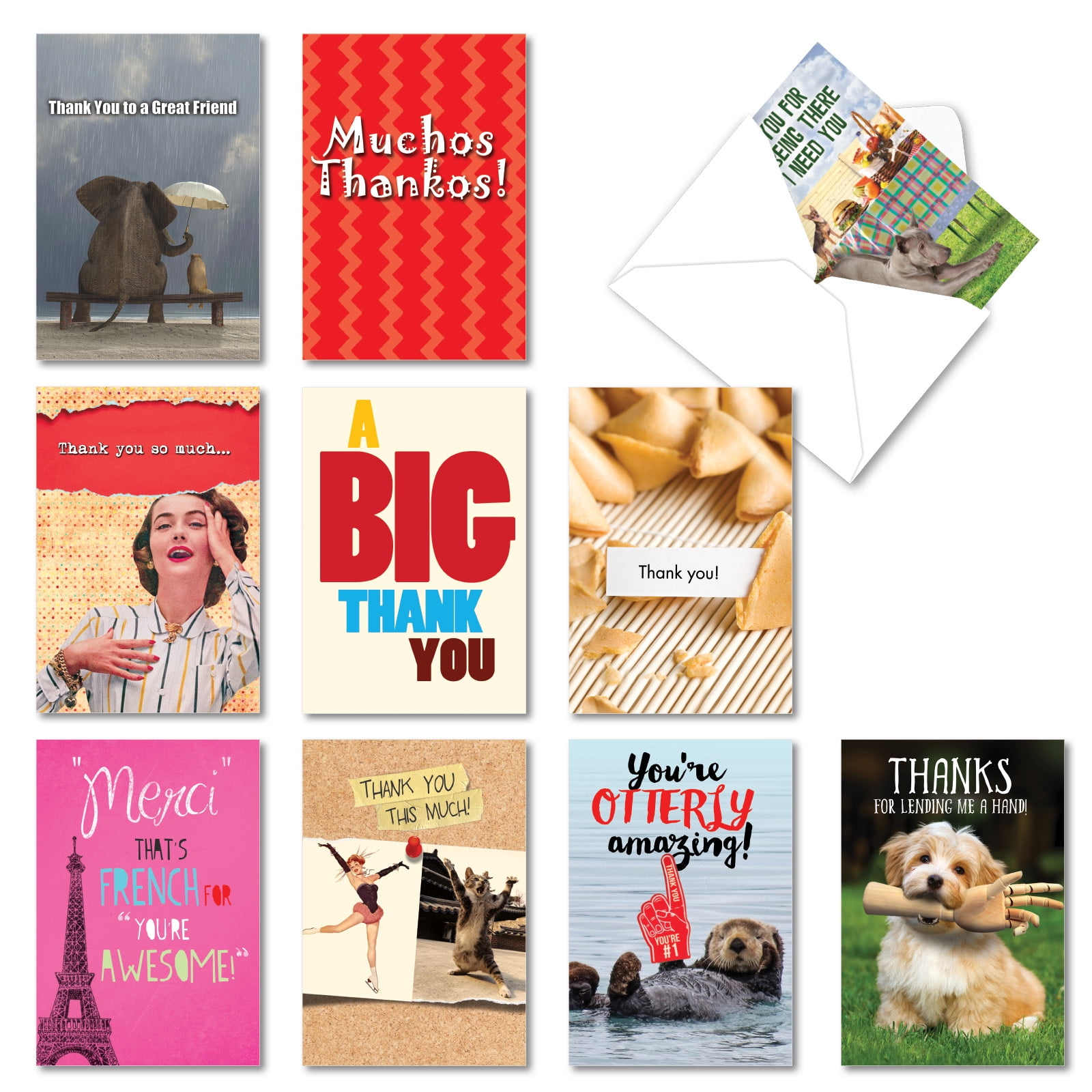 10 Funny Thank You Greeting Cards Boxed Many Thanks Thank You