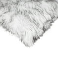 thumbnail image 4 of COUSSIN EN FAUSSE FOURRURE BELTON 18"X18" 2 PQT, 4 of 5