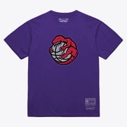 Unisex Mitchell & Ness Purple Toronto Raptors Hardwood Classics Arch T-Shirt