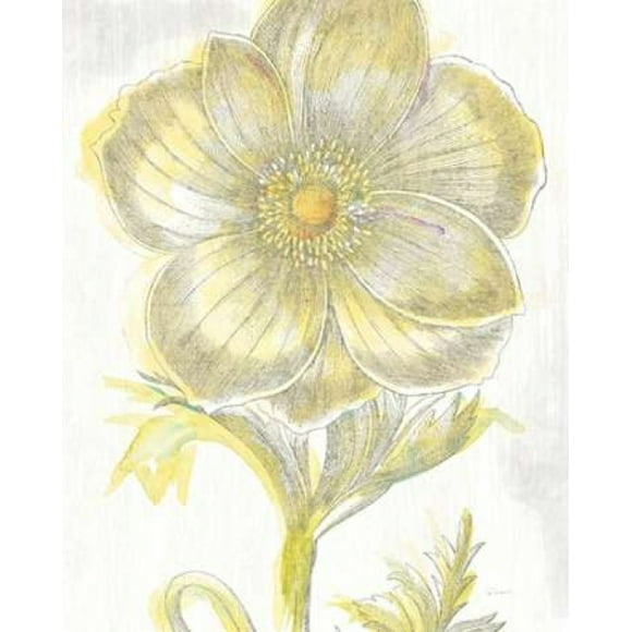 Belle Fleur Yellow II Crop Poster Print by Sue Schlabach (24 x 30)