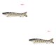 thumbnail image 2 of Naiovety Cebo Señuelo Crankbait Pesca Multi-seccional Hundimiento Multi-seccional Hundimiento Swimbait con garra Barb Hook D8K-01 2Conjunto, 2 of 6
