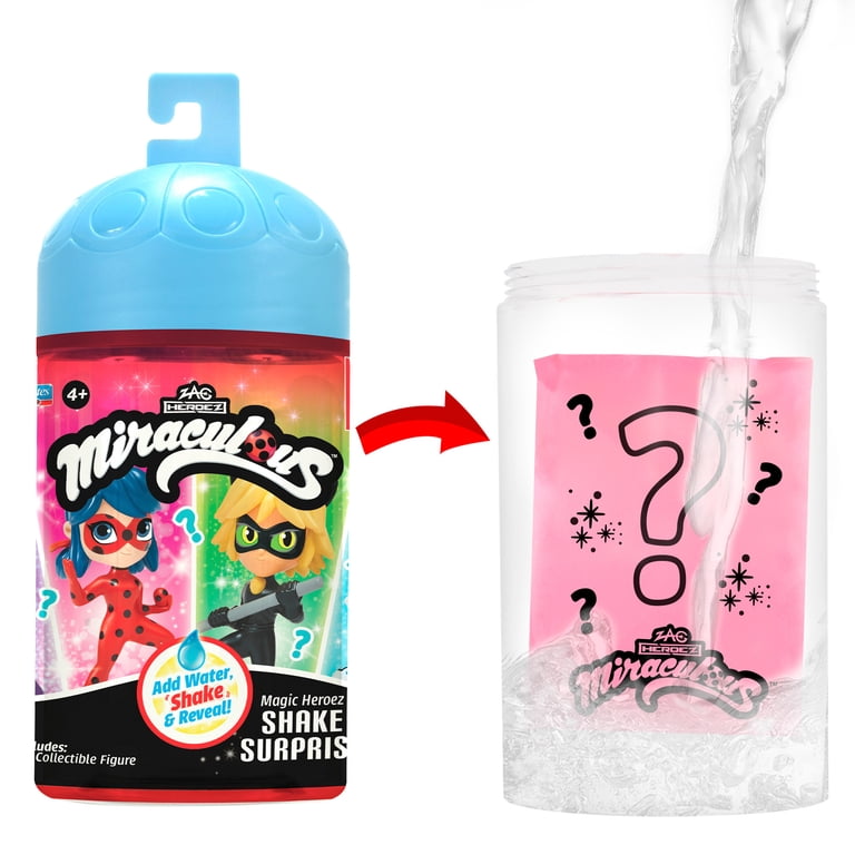 Miraculous Magic Heroez Shake Surprise Vinyl Doll Collectible
