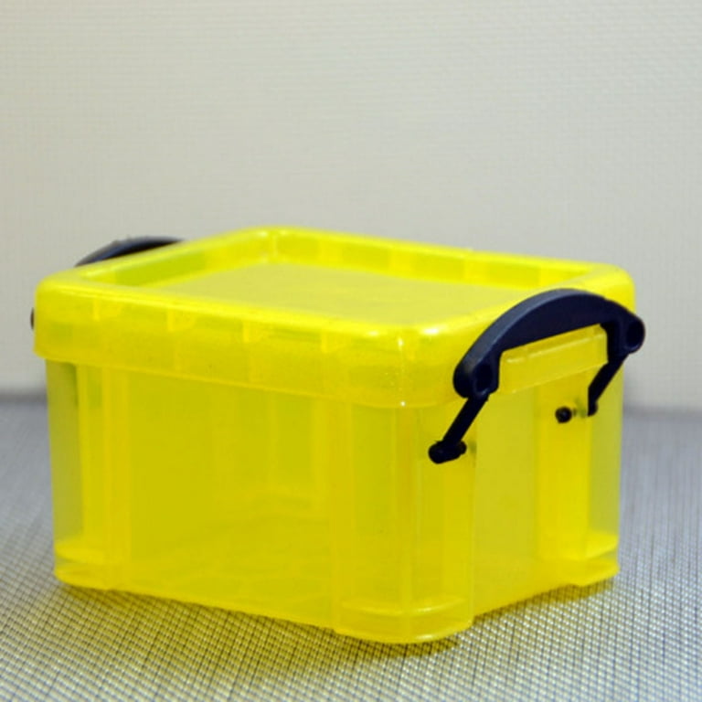 Mini Clear Plastic Storage Box with Locking Lid Portable Jewelry
