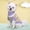 Purple, variant on Cozy Pet Sweaters, Winter Knitwear for Small and Medium Dogs and Cats – Argyle, Striped, and Heart Designs, Mock Neck Warmth