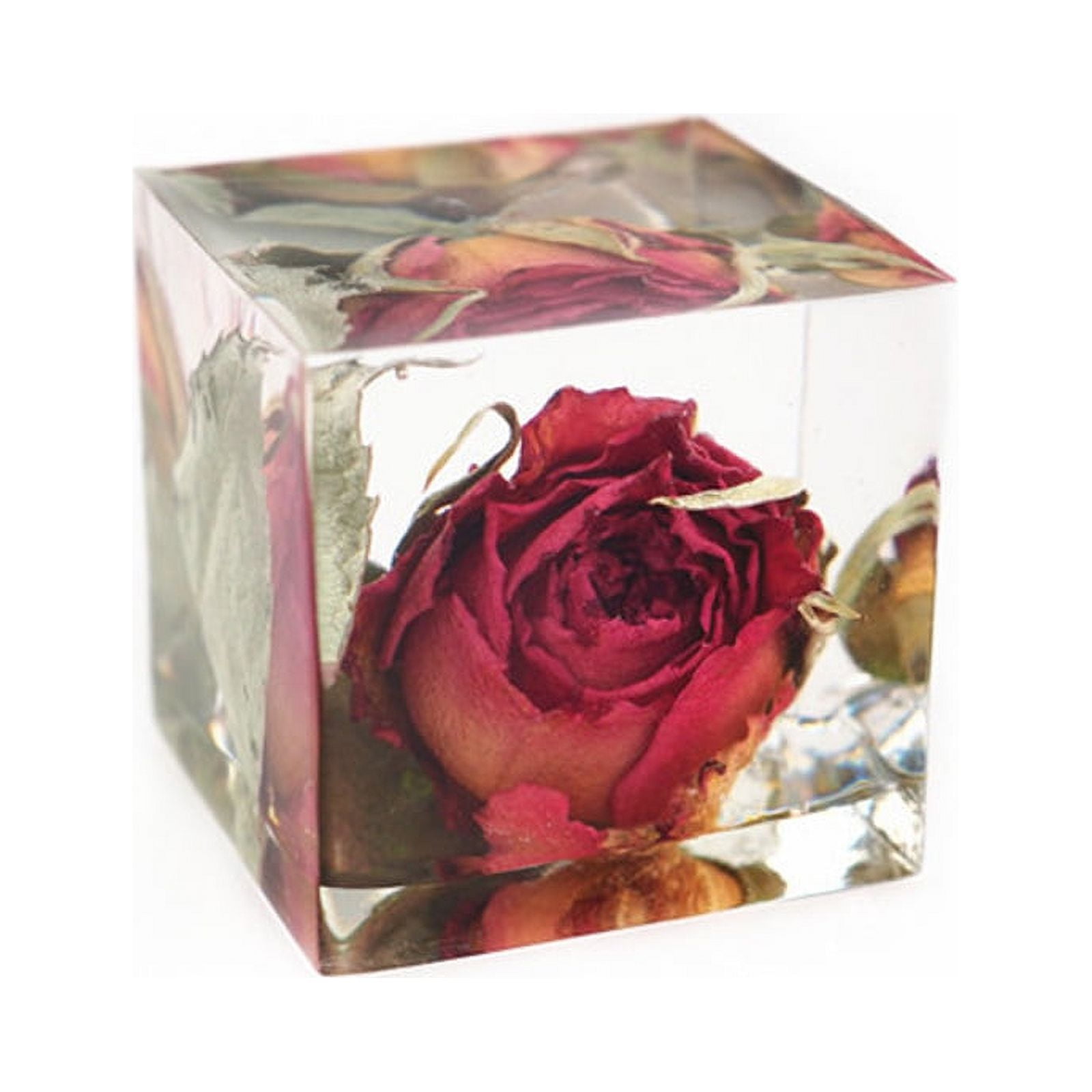 Deep Square Silicone Mold Shiny 6x6x6 / Flower Preservation Cube 