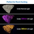 thumbnail image 4 of Linterna UV Vansky X7 Pro 365nm Blacklight para orina de mascotas, 4 of 7