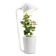 Ecoo Grower IGS-02 Plantes de Jardin d'Herbes Intelligentes Pot de Fleurs avec Kit LED Lampe de Bureau Hydroponique 20W – image 2 sur 5