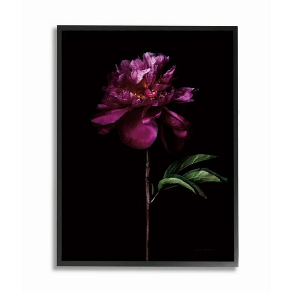 Stupell Industries Flower with Long Stem Black Purple Nature Photograph Framed Wall Art Design by Elise Catterall, 11" x 14", Black Framed