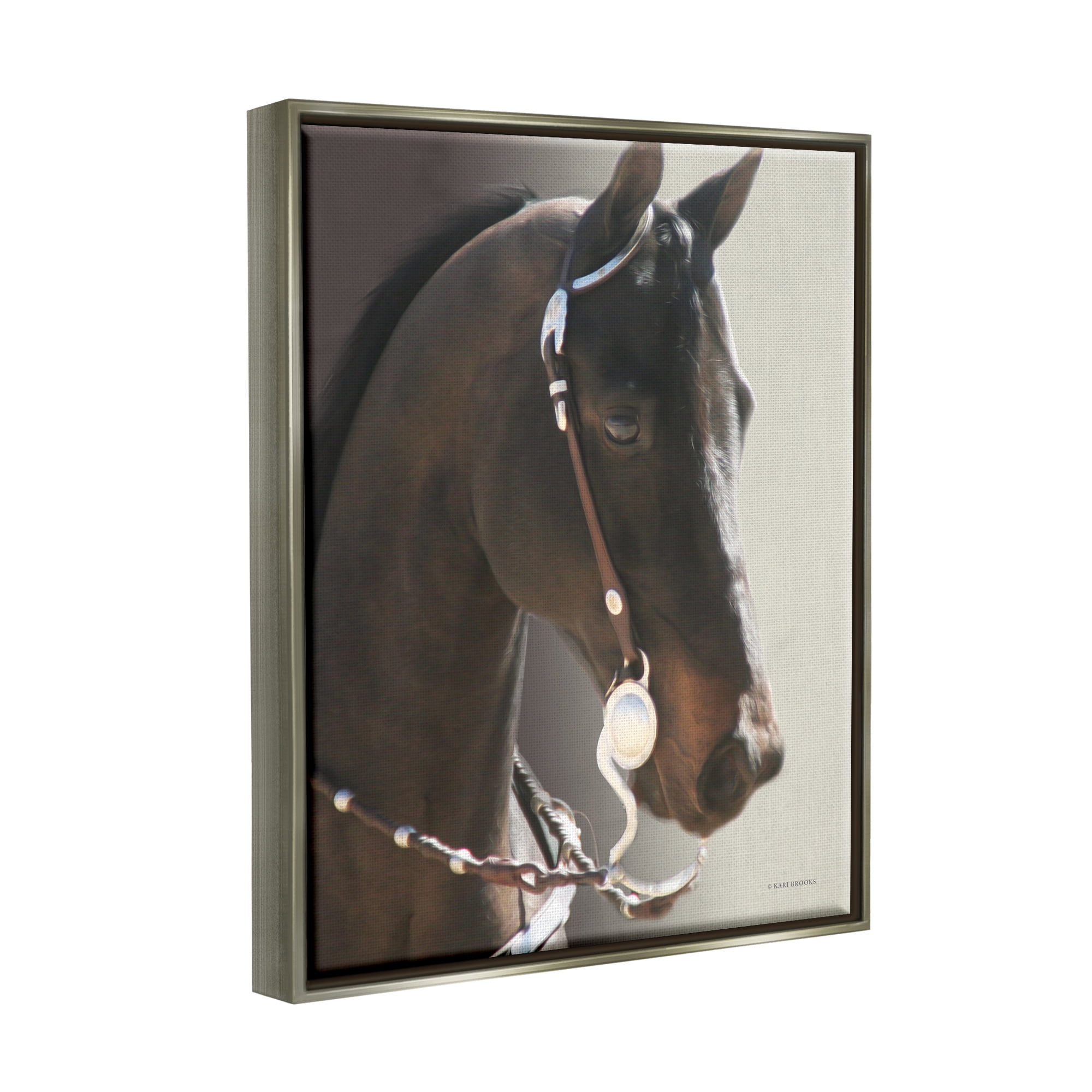 Stupell Industries Horse with Bridle Animals & Insects Photography Gray Floater Framed Canvas Art Print Wall Art, 25 x 31