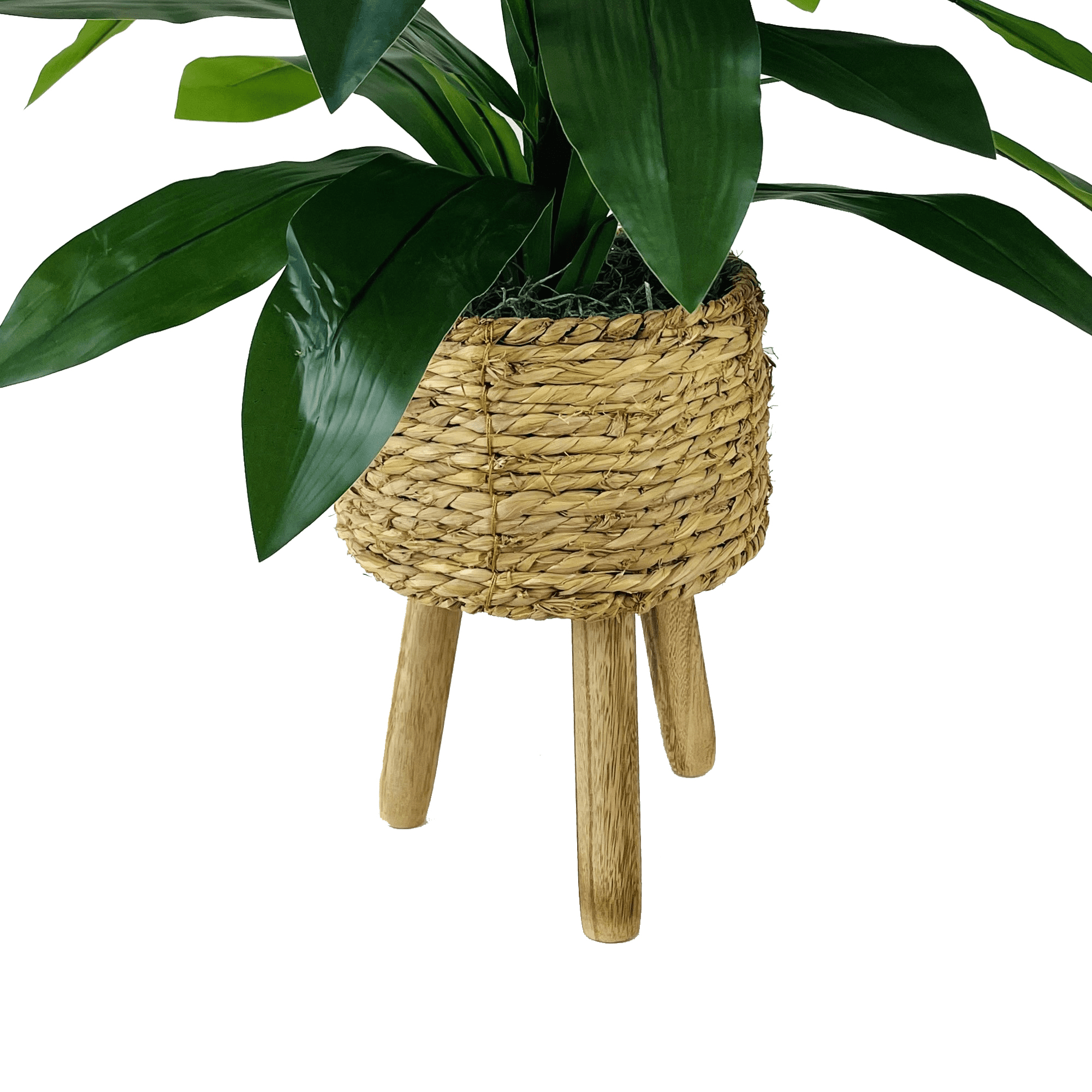 Artificial Plant, 24" Artificial Dracaena Plant in Natural Woven Tripod Basket Stand by LCG Florals, Faux Designer Fake Indoor Plant for Living Room, Office, and Home Décor