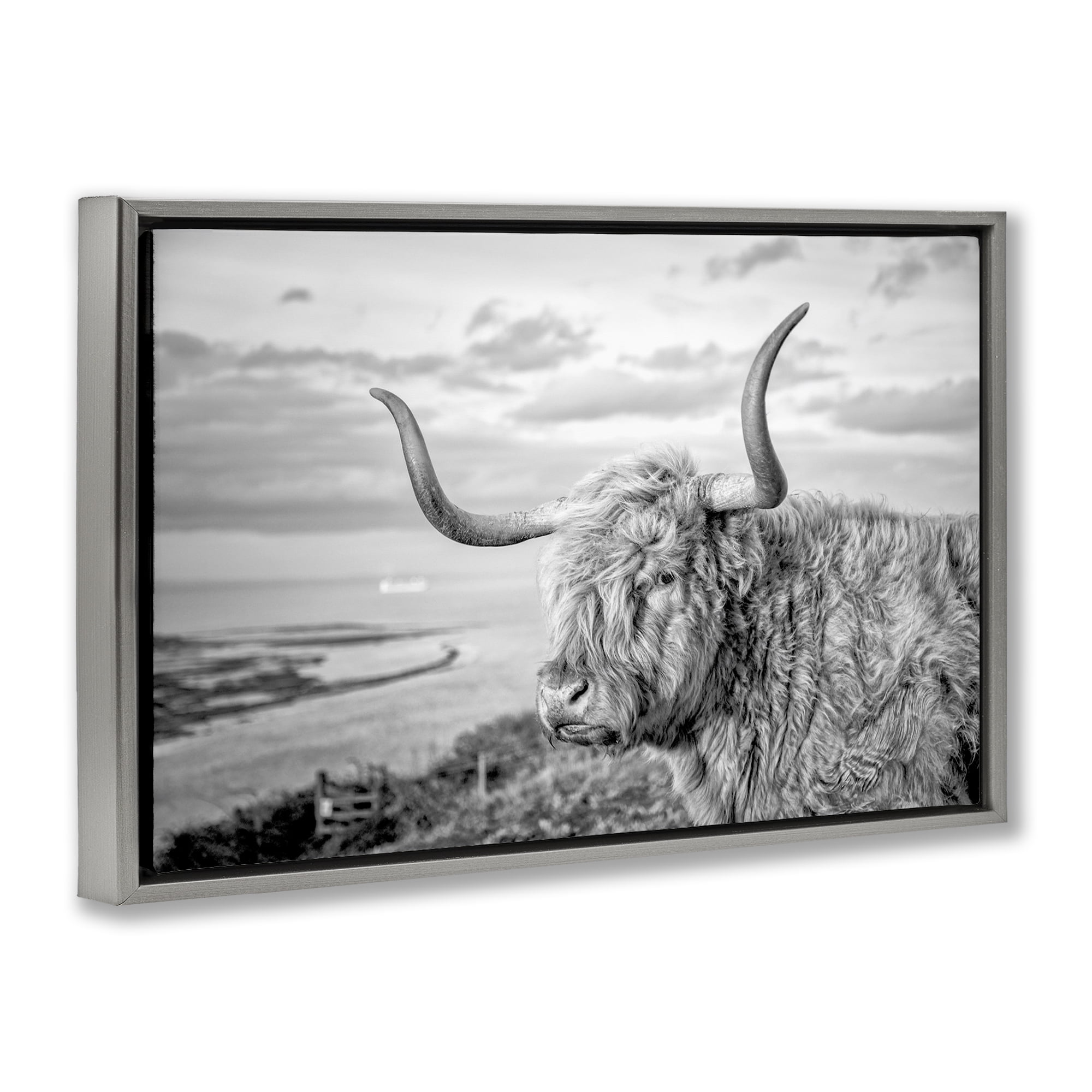 Stupell Industries Cattle with Ocean Breeze Animals & Insects Photography Gray Floater Framed Canvas Art Print Wall Art, 31 x 21