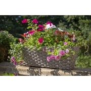 Gardman R02118X 28 in. Mountain Grass Effect Multi Mount Planter