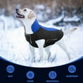 thumbnail image 4 of Warm Dog Coat, Waterproof Jacket in Winter Adjustable and Reversible Doggy Fleece Outfit, Thick Clothes with Foldable Collar for Puppy in Cold Days, 3XL RoyalBlue, 4 of 6