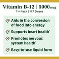 Nature's Bounty Sublingual Liquid, Vitamin B12, 2 Fl Oz, 59