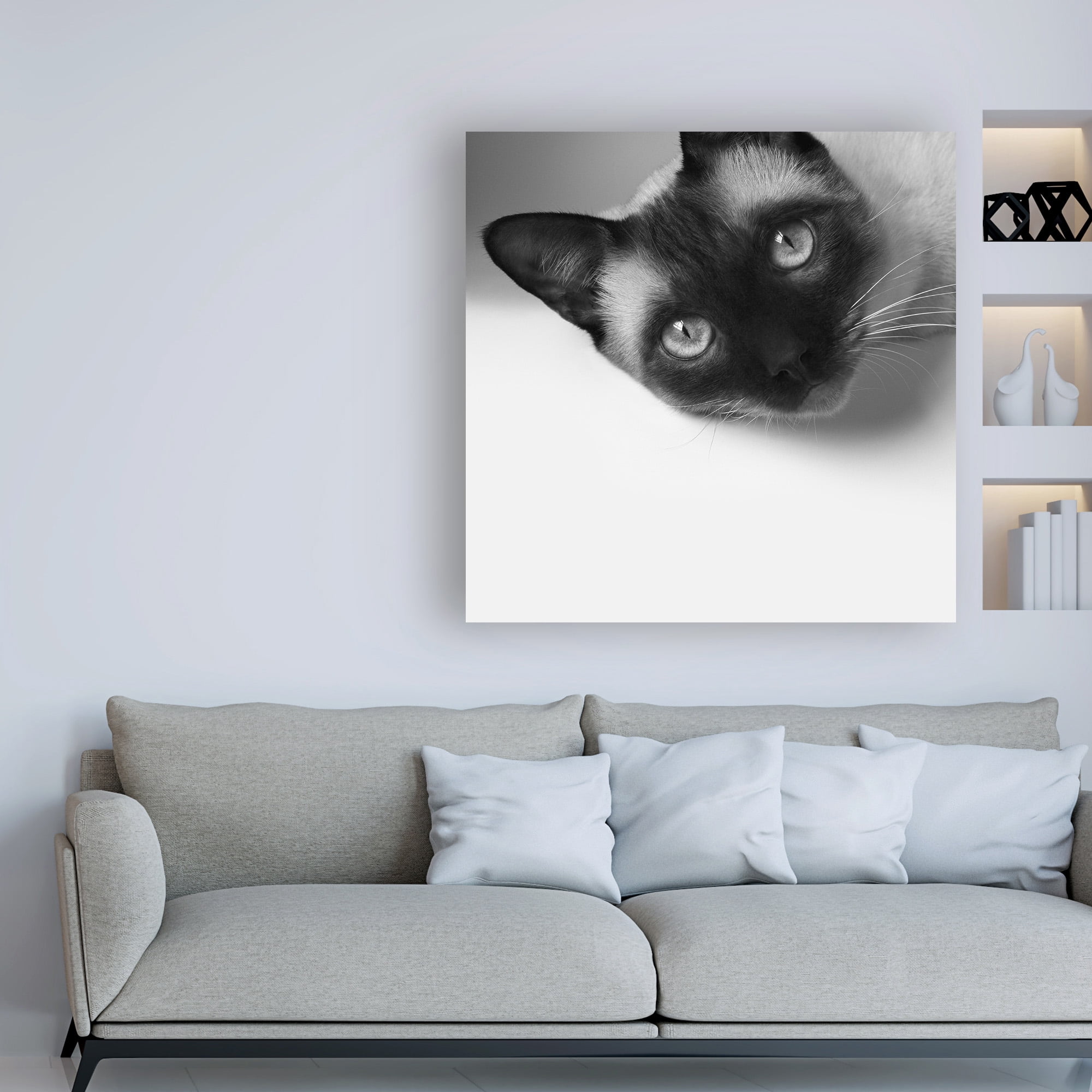 Trademark Fine Art 'Hey!' Canvas Art by Jon Bertell
