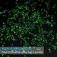 thumbnail image 3 of Uxcell Confeti de Mesa de Boda Cristales de Diamantes Acrílicos Rellenos de Jarrones para Decoración de Centro de Mesa Verde Oscuro, 3 of 7