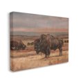 thumbnail image 4 of Stupell Industries Rural Pasture with Bison Animals & Insects Painting Gallery Wrapped Canvas Art Print Wall Art, 30 x 24, 4 of 8
