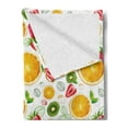 thumbnail image 2 of Fruits Soft Flannel Fleece Throw Blanket, Citrus Kiwi Lemon Leaves Apricot Watermelon Fresh Exotic Kitchen, Cozy Plush for Indoor and Outdoor Use, 70" x 90", Earth Yellow Lime Green, by Ambesonne, 2 of 5