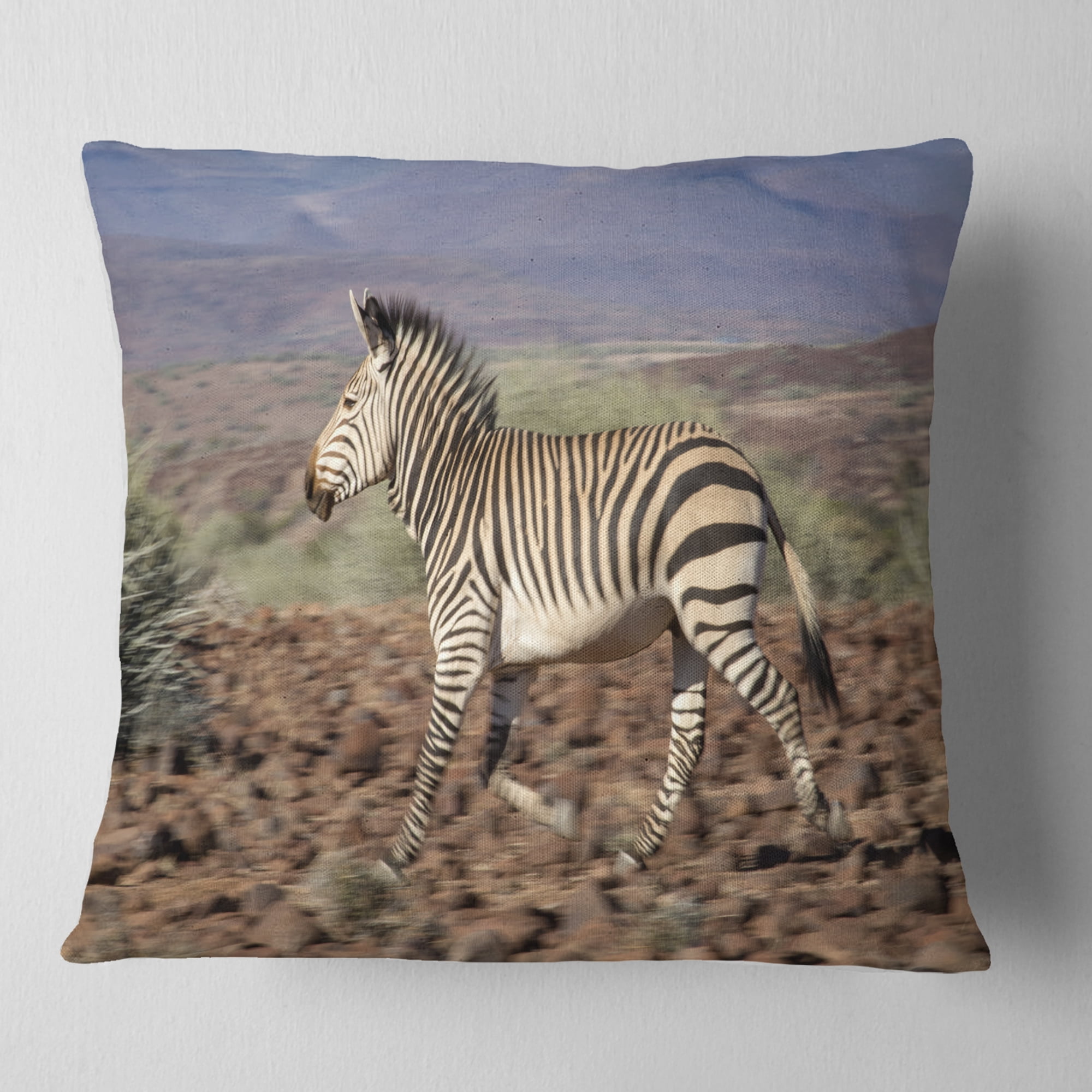 Designart Zebra in Damaraland - Landscape Photography Throw Pillow - 18x18