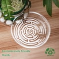 thumbnail image 2 of urorentea 24Pcs Clear Plant Saucer, 6 8 10 12inch Round Plant Pot Saucers, Plastic Plant Drip Trays, Flower Pot Saucers for Indoor Outdoor Garden Plants, 2 of 7