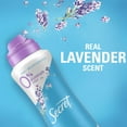 thumbnail image 3 of Olay Luxurius Lavender Gift Set with Olay Body Wash 532 mL and Secret Dry Spray 116 g, 3 of 6