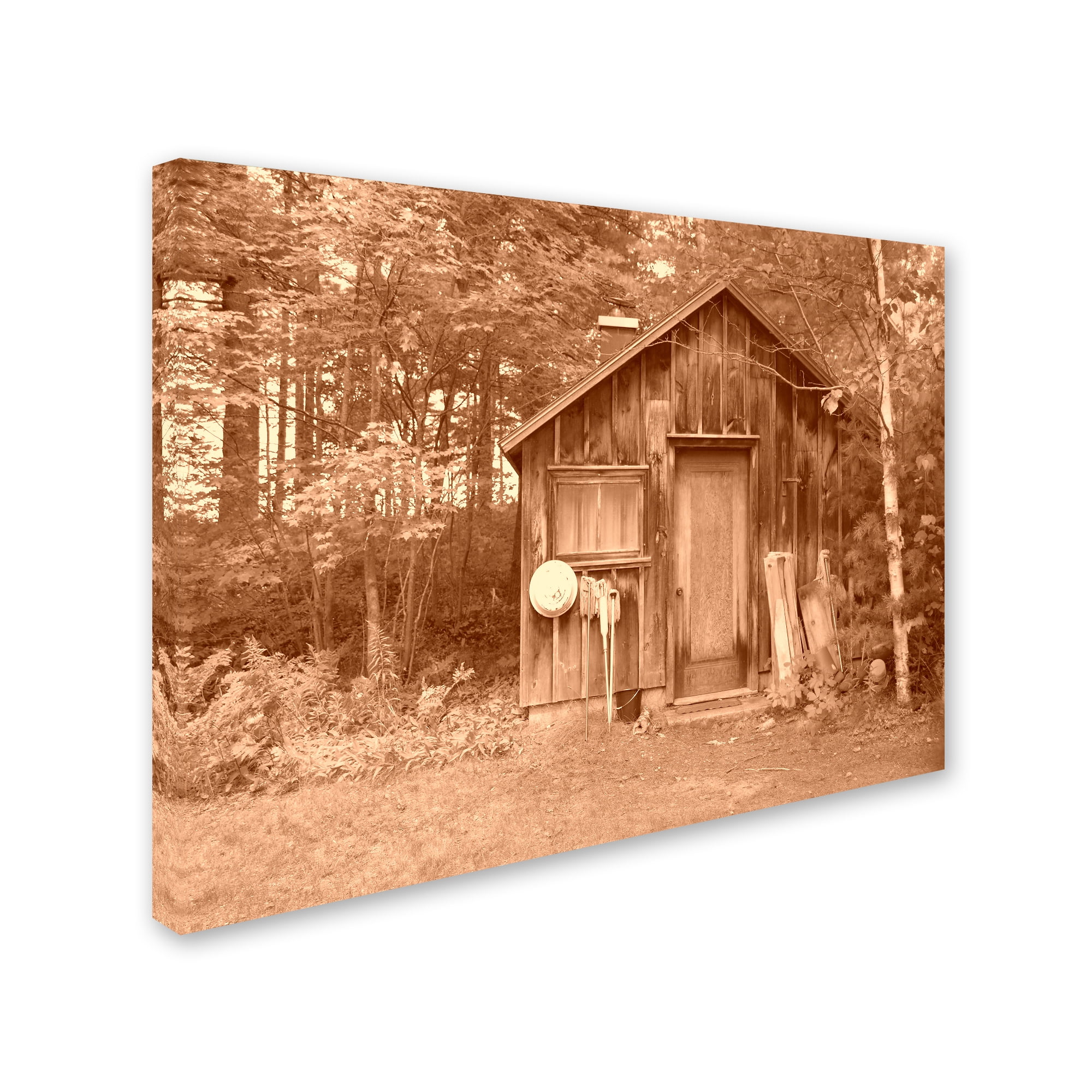 Trademark Fine Art 'Shed sepia' Canvas Art by Tom Kelly