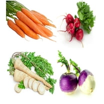 Root Vegetable Seeds Variety Pack – Carrot, Radish, Turnip & Parsnip – Non-GMO, Heirloom Garden Seeds for Planting – Easy Grow, High Yield, USA Grown