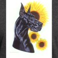 thumbnail image 3 of CafePress - C Blk Sunflower Dark T Shirt - Men's Classic Graphic Cotton T-Shirt, 3 of 4