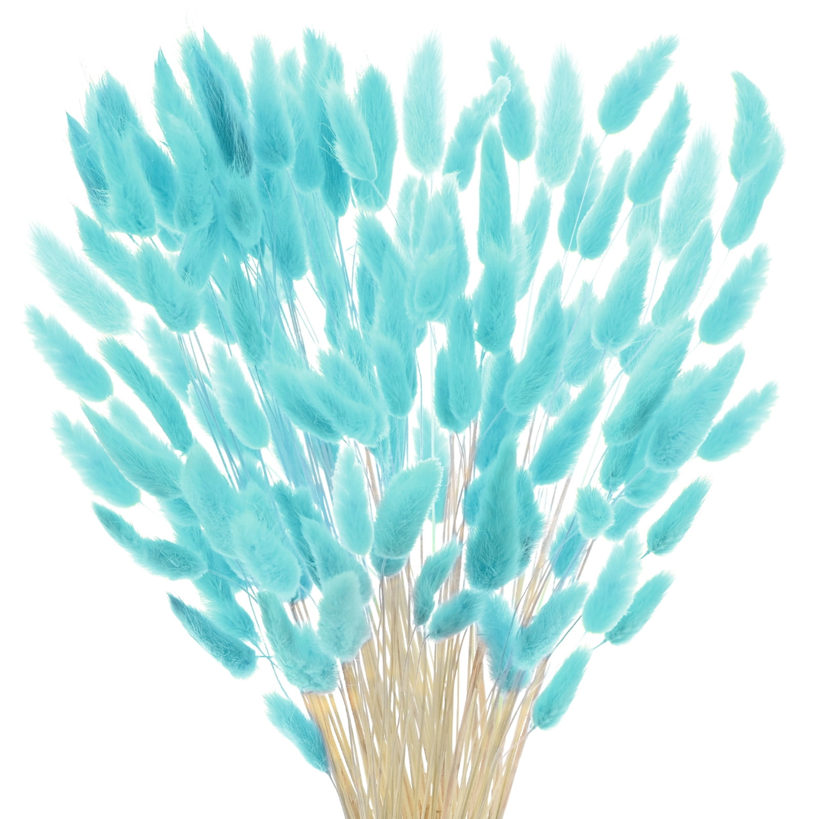 Uxcell 180-Pack Bunny Tails Grass 17 Inch Fluffy Rabbit Tail Grass Dried Flowers for Home/Wedding [Blue]