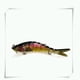 thumbnail image 1 of Señuelos para lubina, trucha, natación articulada múltiple, señuelos de natación biónicos de hundimiento Rallentare, lubina, agua dulce, agua sala shamjiam cebo de pesca señuelo púrpura, 1 of 1