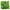 Blue, variant on Eummy Privacy Screen, Artificial Leaves Fencing Panel with 8 Modes Solar Lights, Faux Ivy Hedge Flower Fence for Garden Patio Backyard Balcony, 15.7x70.8in