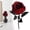 B, variant on Clearance Under $4.26! 1PC Halloween Black Rose, Gothic Artificial Flower for Wedding & Party Decor, Plastic, (One Size, B)