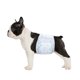 thumbnail image 1 of Flying Paws Pañales para perros machos, absorbentes para perros machos, bandas para el vientre para perros machos con protección contra fugas, incontinencia urinaria excitable o marcas masculinas (peq, 1 of 1