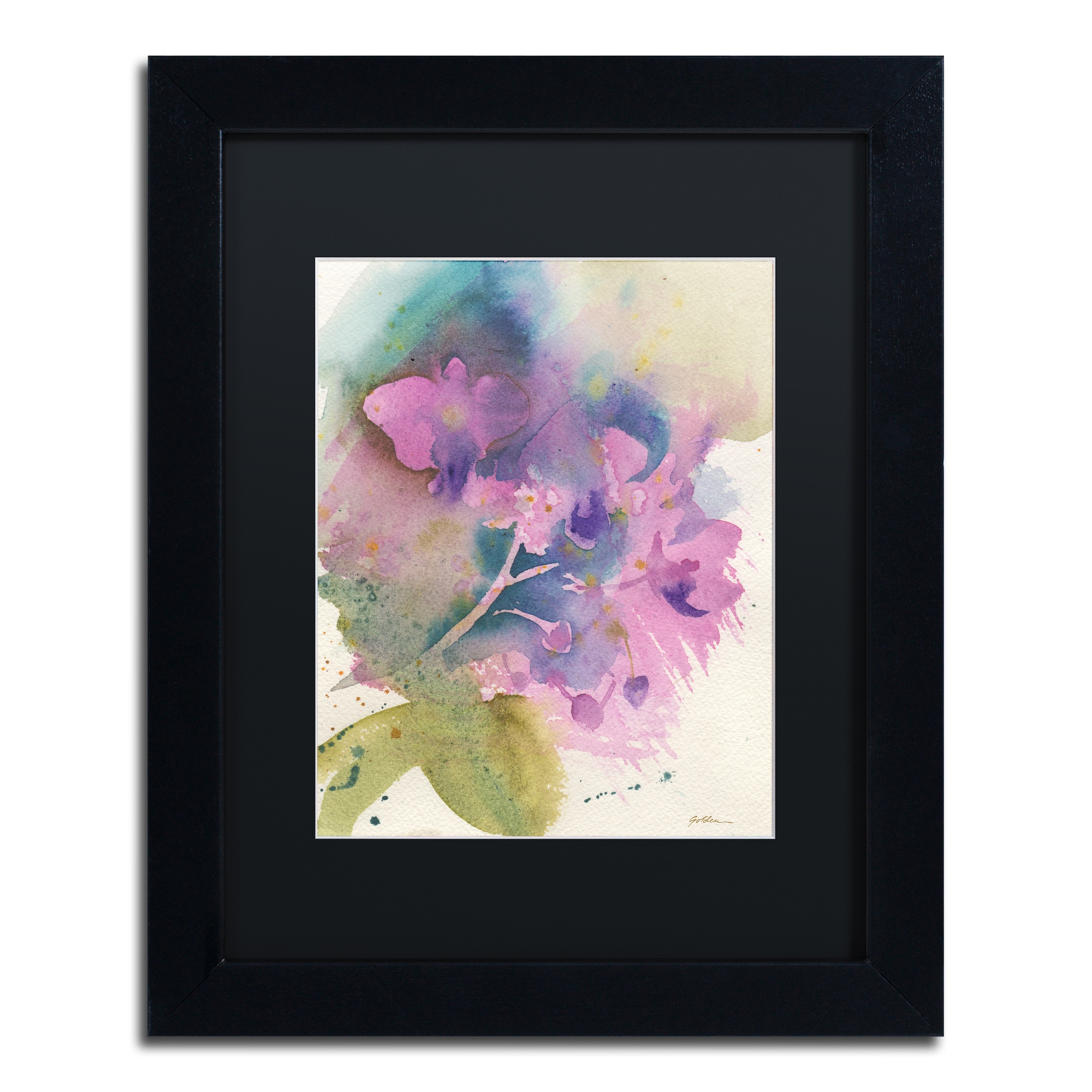 Trademark Fine Art "Orchid Dream" Canvas Art by Sheila Golden Black Matte, Black Frame