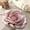 C, variant on TIELUTT 3D Flower Mats Irregular Carpets Light Washable and Decorative Carpets Periwinkle Throw Blanket Knitted Blanket Throw Shaggy Carpet Rug Lap Blankets for Elderly Fuzzy Blankets and Throws for