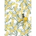 thumbnail image 2 of House Fenway 19x24 Gold Ornate Wood Framed with Double Matting Museum Art Print Titled - Yellow Spring Finch, 2 of 4