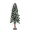 thumbnail image 1 of Vickerman 5' Natural Bark Alpine Artificial Christmas Tree Unlit, 1 of 3
