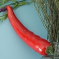 thumbnail image 2 of DOLITY Légumes Alimentaires Décoratifs P. Piment pour Enfants, Tel Que Décrit Piment Rouge, 2 of 9
