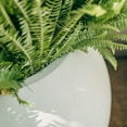 thumbnail image 5 of Titan Great Outdoors SPHRPLANT16_WH 16" Diameter Round Ivory Garden Pot with Weather Resistance, 5 of 8