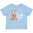 thumbnail image 3 of Inktastic My 1st Easter with Cute Brown Bunny and Easter Eggs Boys or Girls Baby T-Shirt, 3 of 5