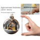 thumbnail image 3 of Rapeiae Natural Wonders Series Christmas Ball Flat Acrylic Pendant, 3 of 5