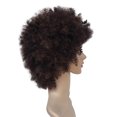 thumbnail image 4 of Peluca HUOGUO Brown sintética rizada corta afro para mujer, 4 of 5